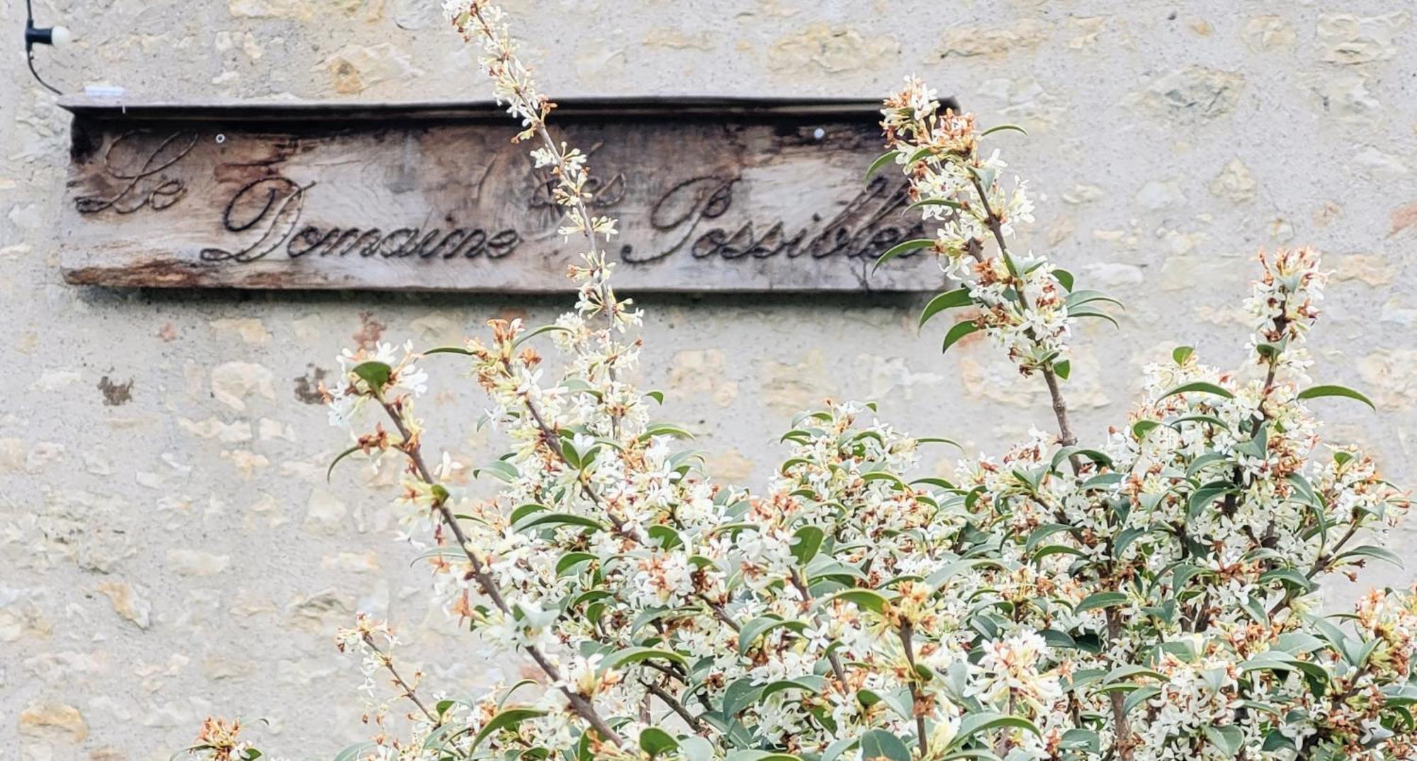 Domaine Des Possibles - Equi Home Montayral المظهر الخارجي الصورة